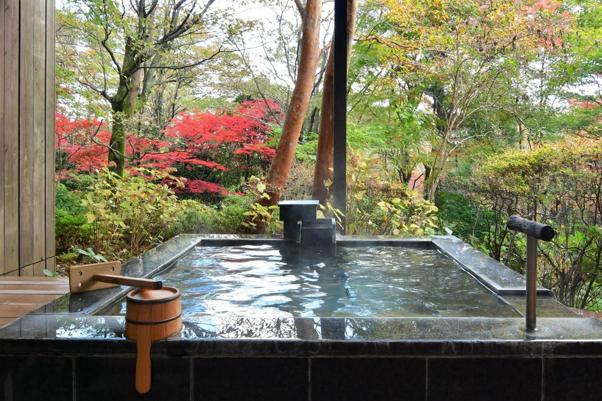 Hakone Gora Byakudan Otel Dış mekan fotoğraf
